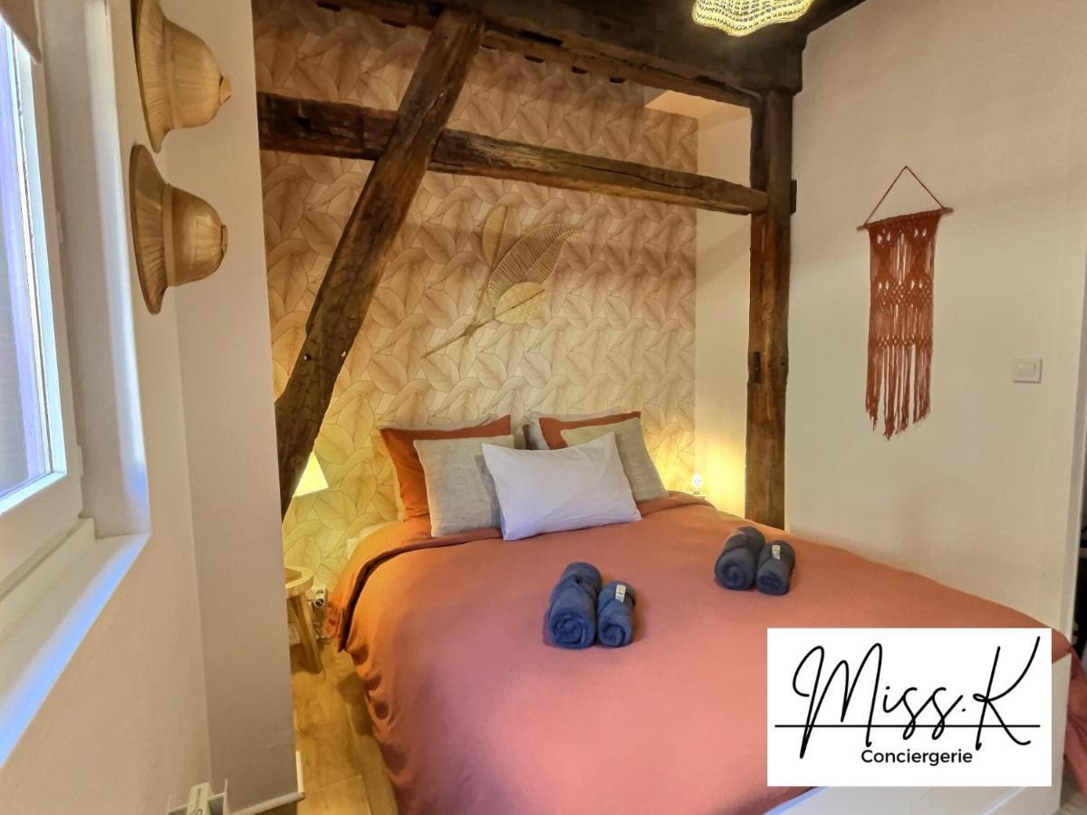 "La Fenetre Sur Le Marche" De Miss.K Conciergerie Apartment Chatillon-sur-Chalaronne Ngoại thất bức ảnh